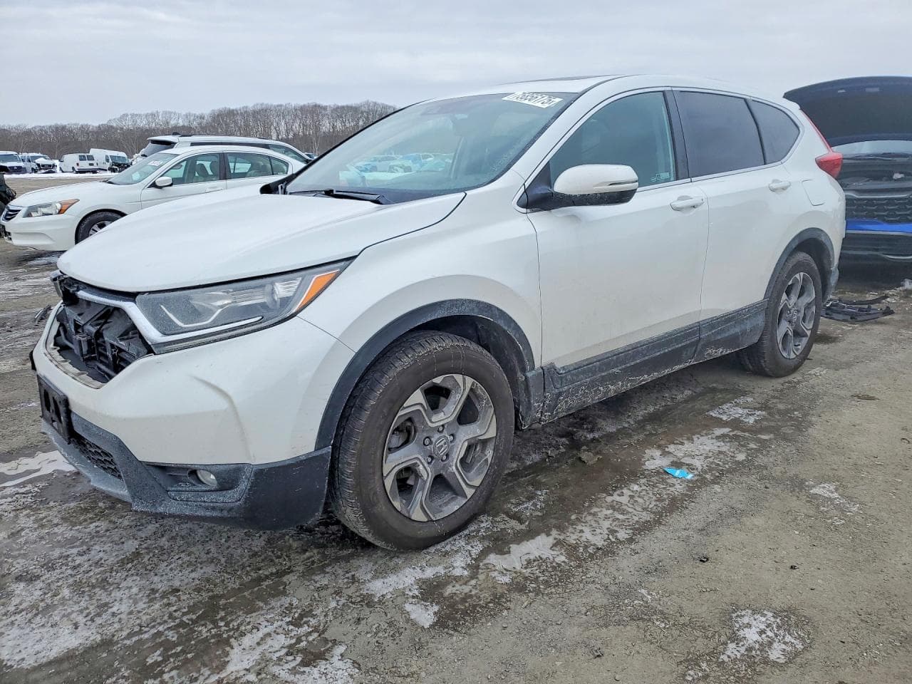 HONDA CRV