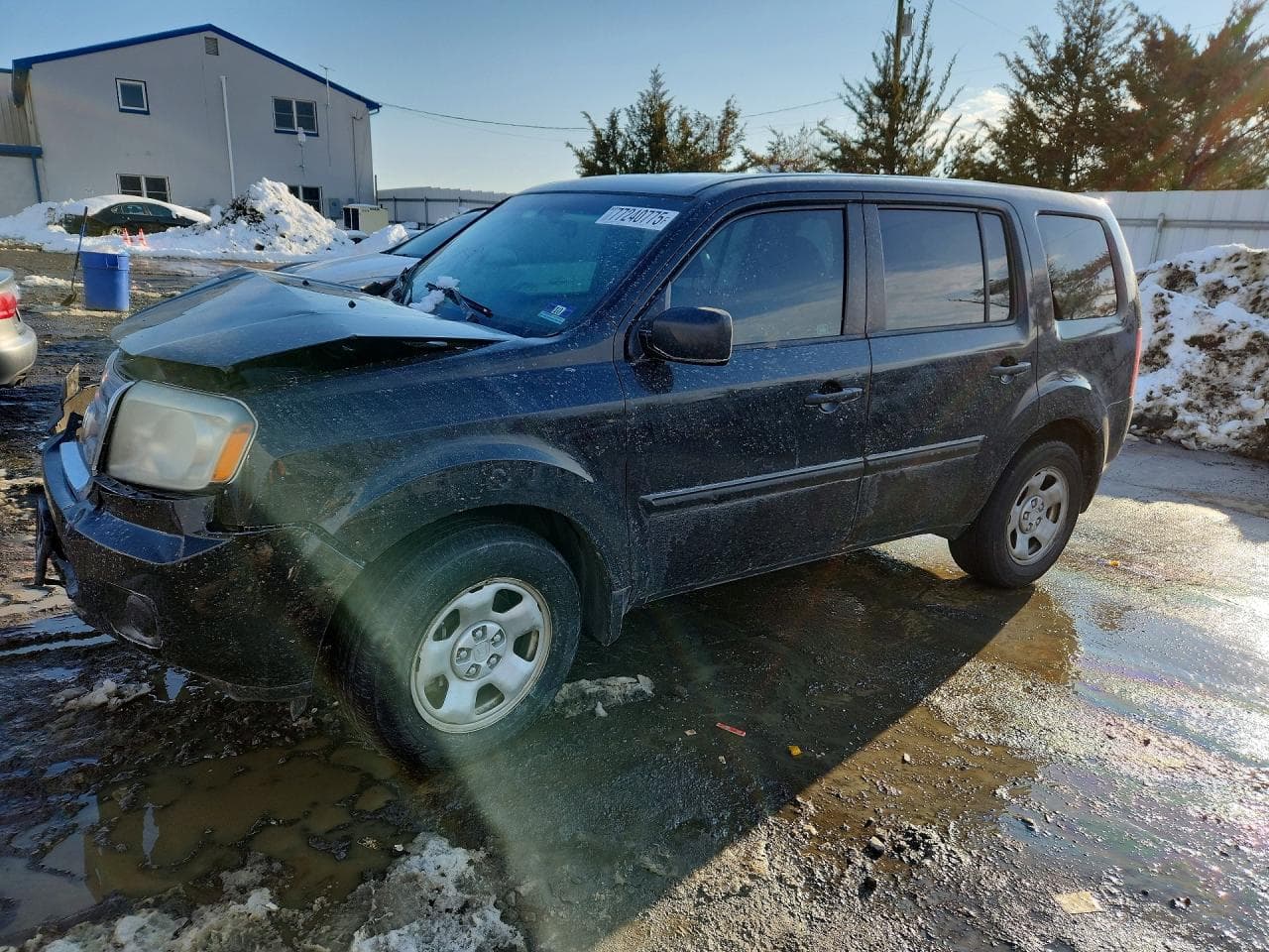 HONDA PILOT