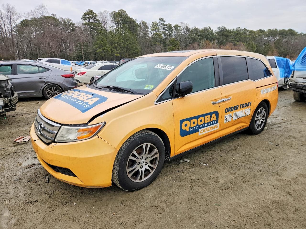 HONDA ODYSSEY
