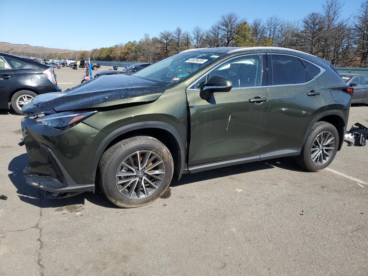 LEXUS NX
