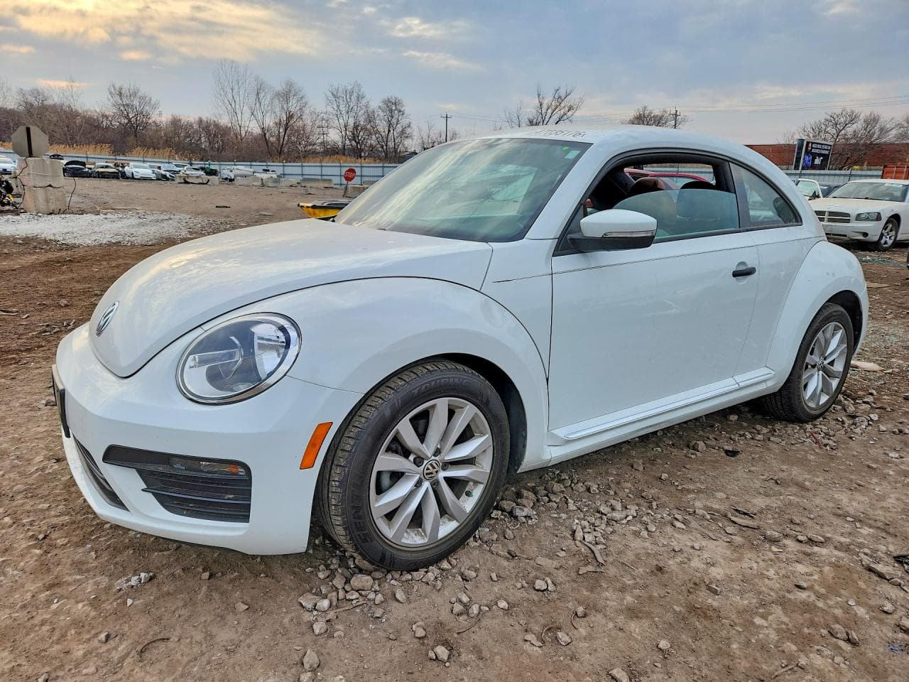 VOLKSWAGEN BEETLE