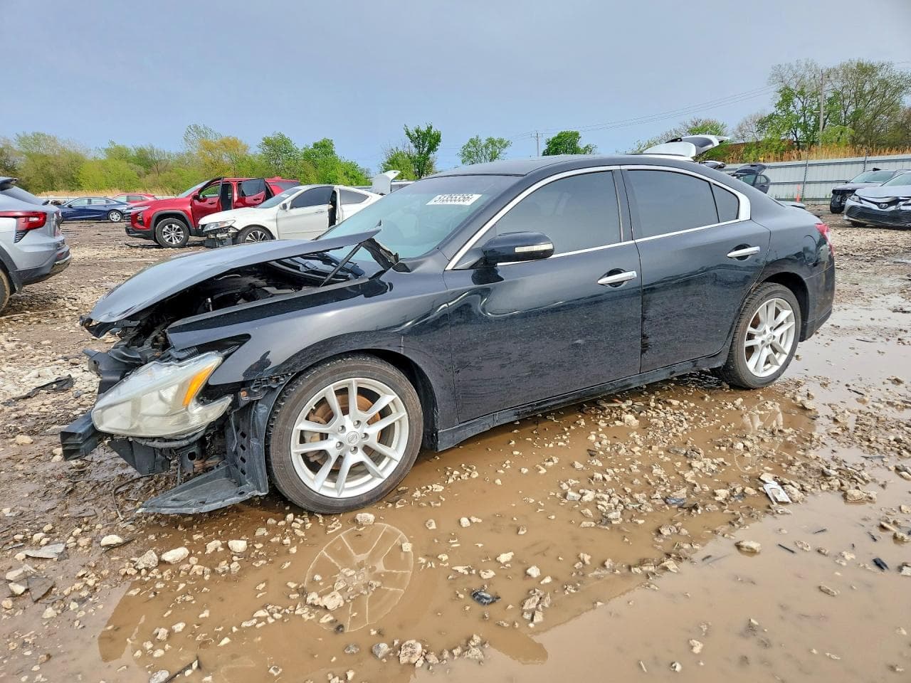 NISSAN MAXIMA