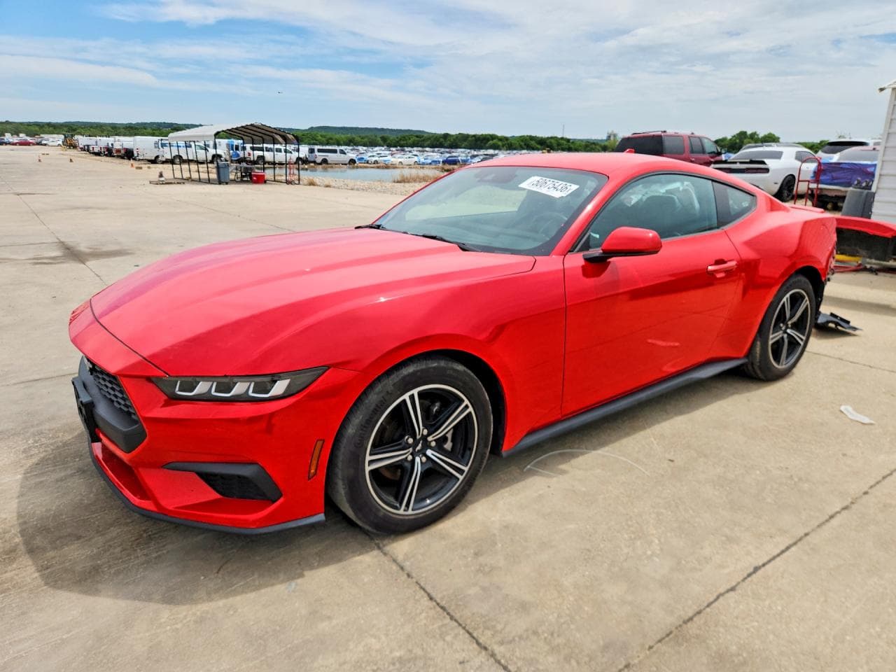 FORD MUSTANG