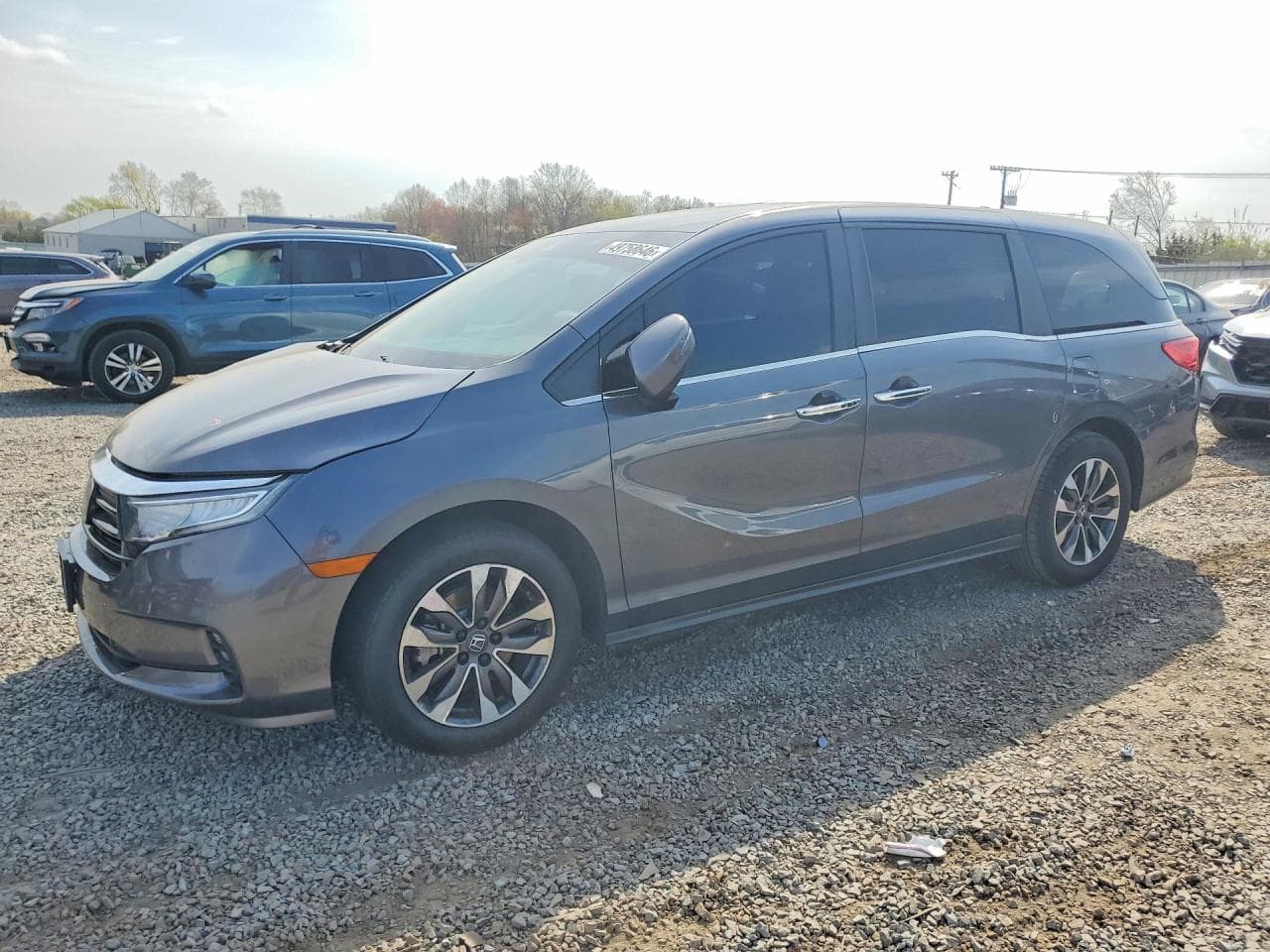 HONDA ODYSSEY