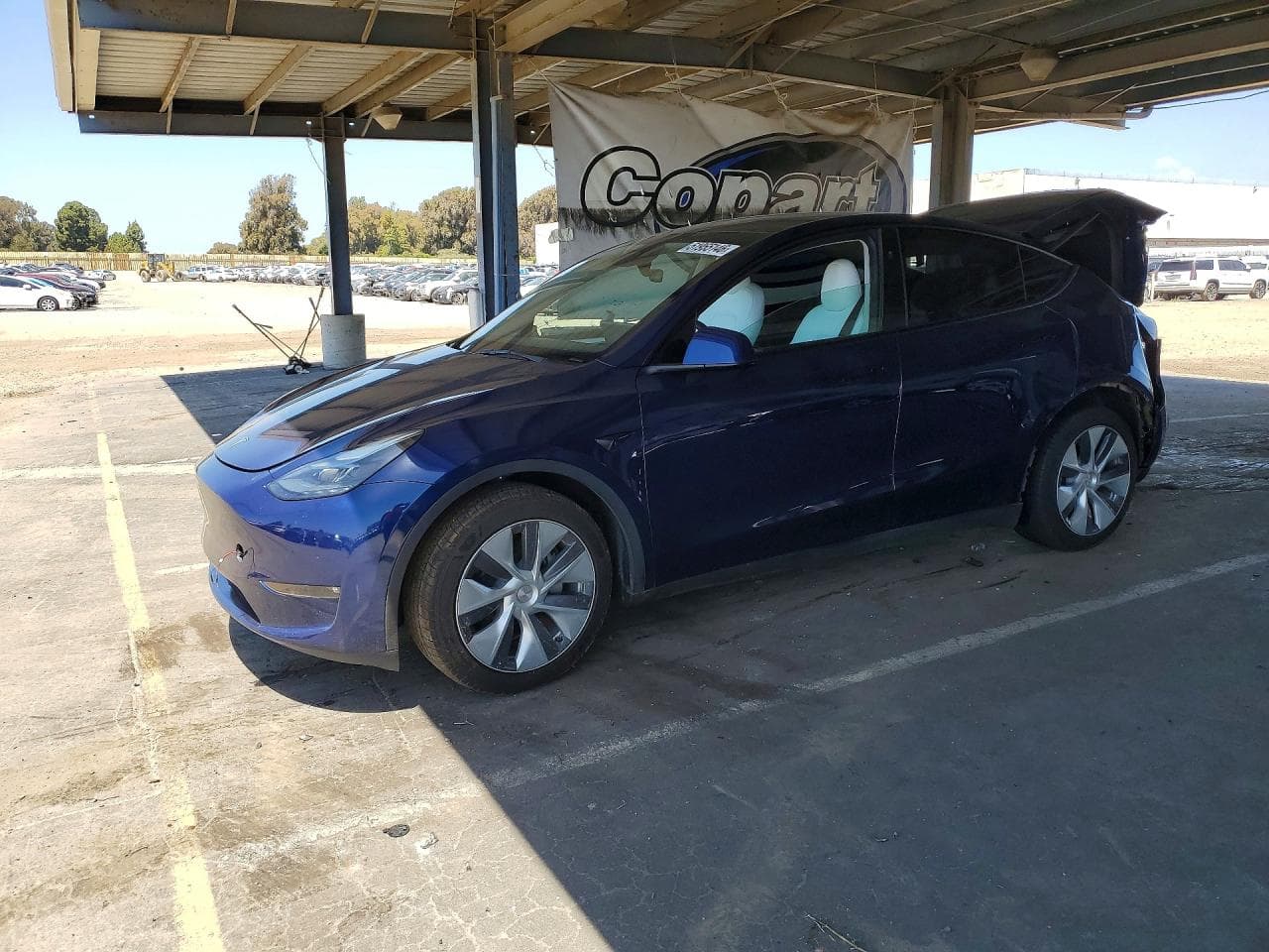 TESLA MODEL Y