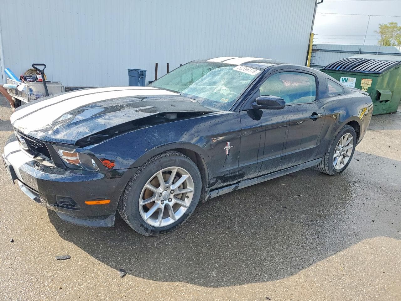 FORD MUSTANG