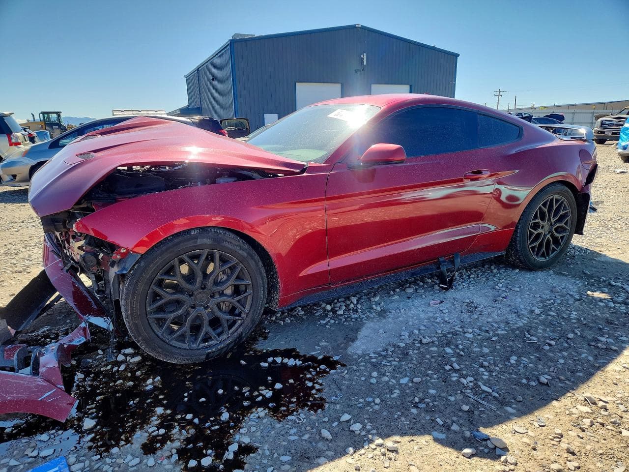 FORD MUSTANG