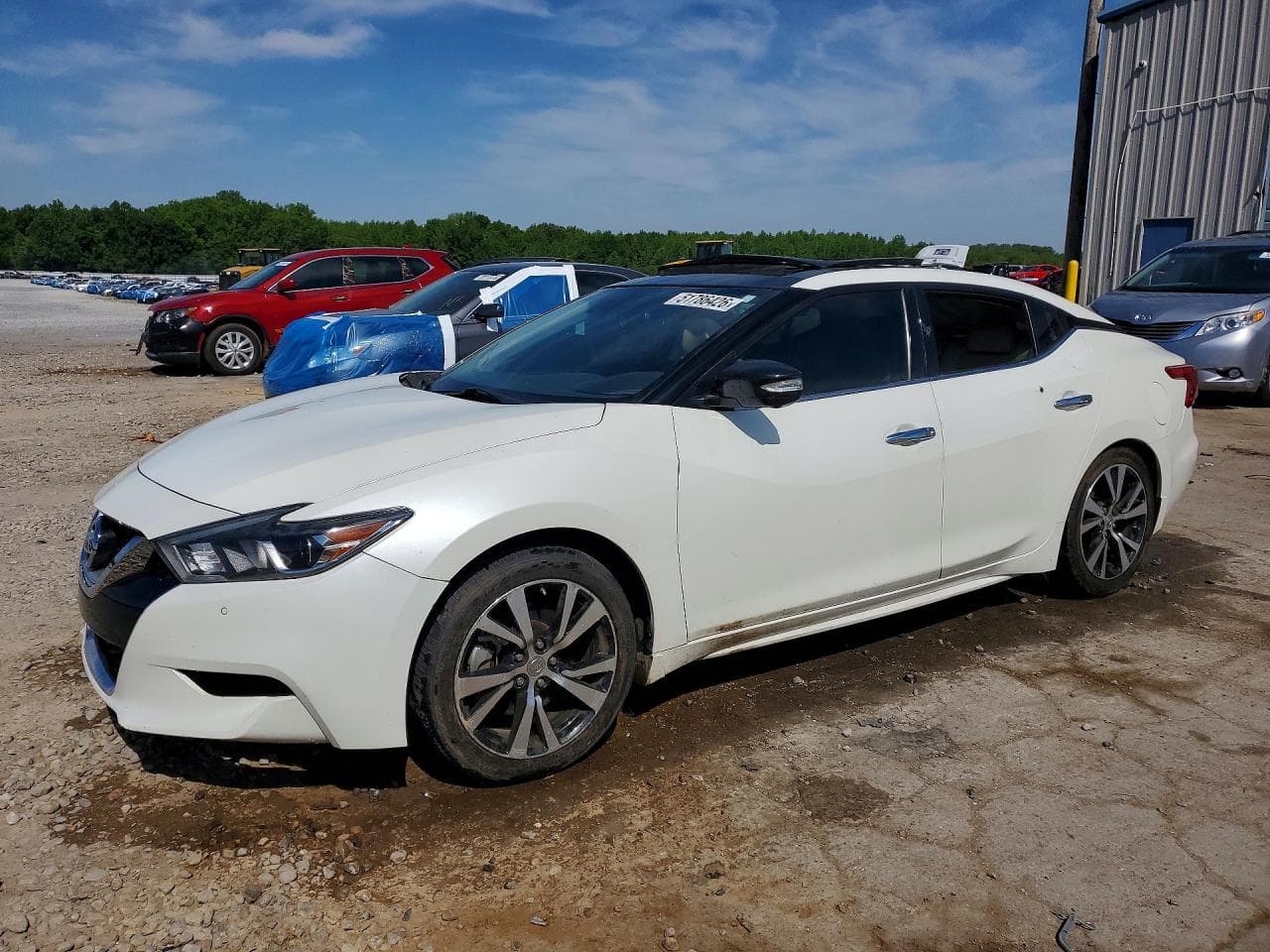 NISSAN MAXIMA