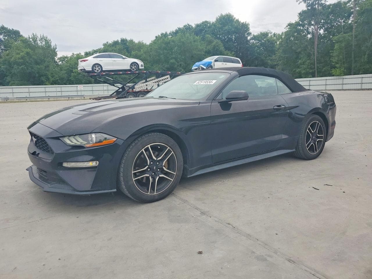 FORD MUSTANG