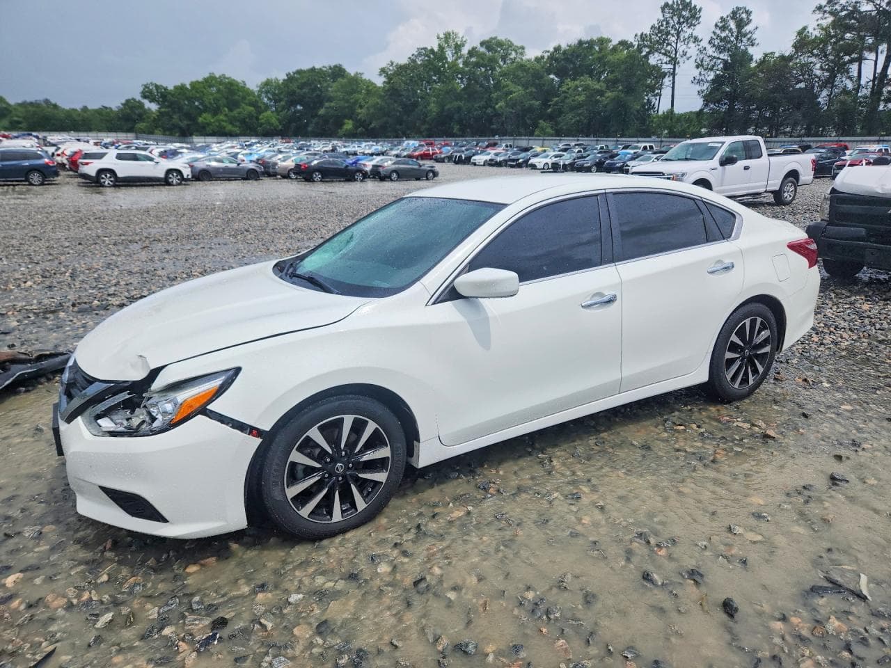 NISSAN ALTIMA
