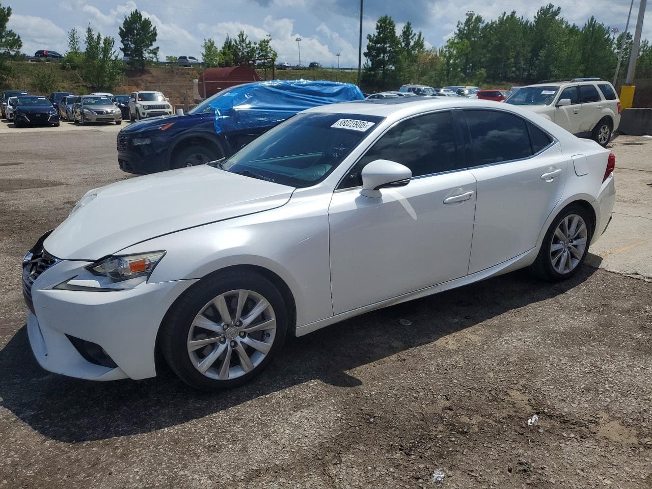 LEXUS IS