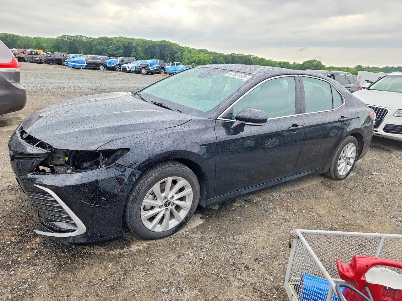TOYOTA CAMRY
