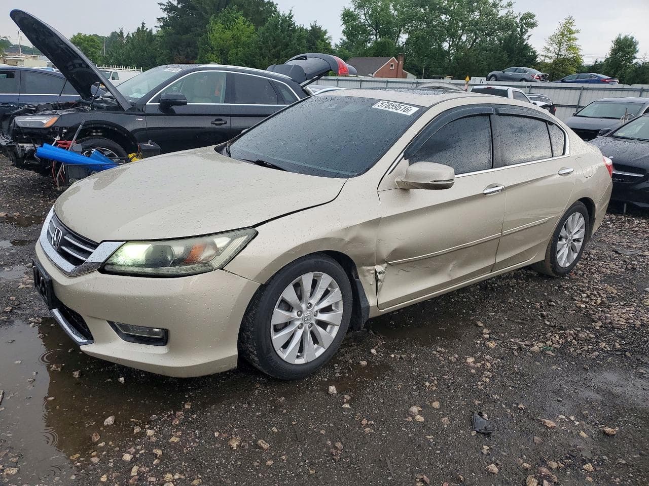 HONDA ACCORD