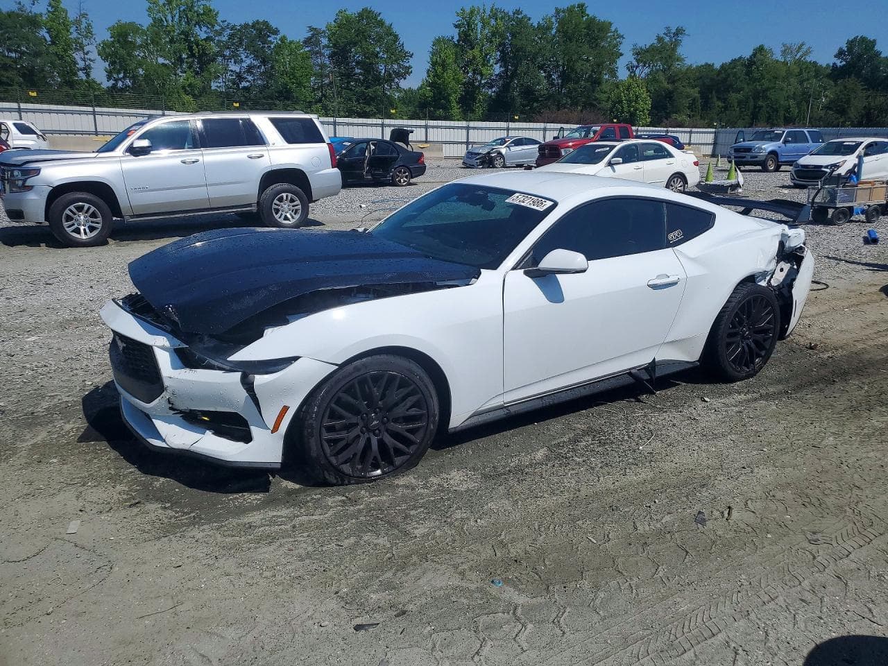 FORD MUSTANG