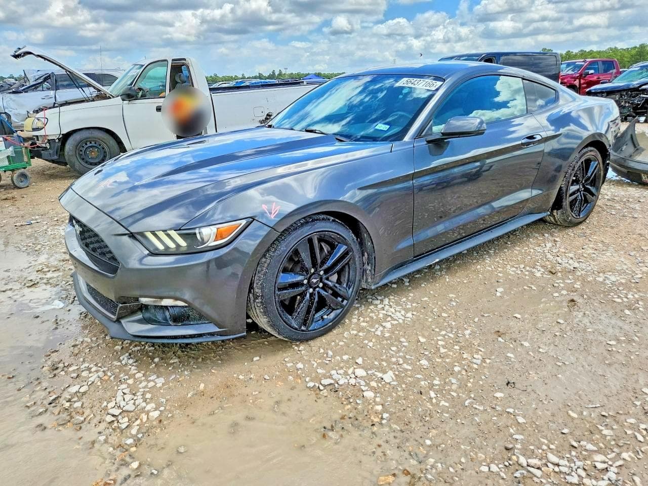 FORD MUSTANG