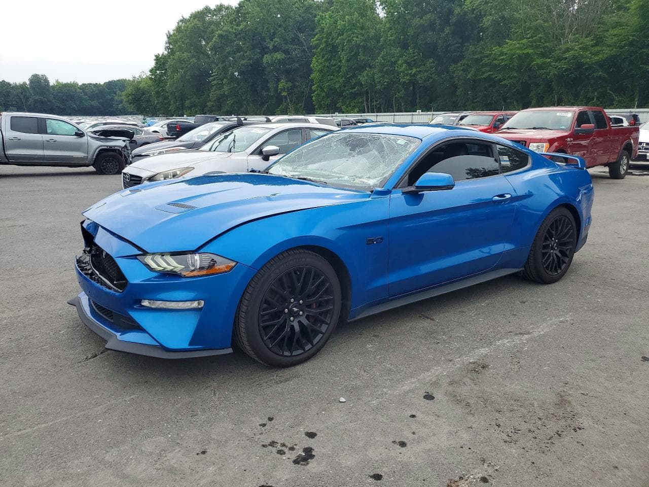 FORD MUSTANG