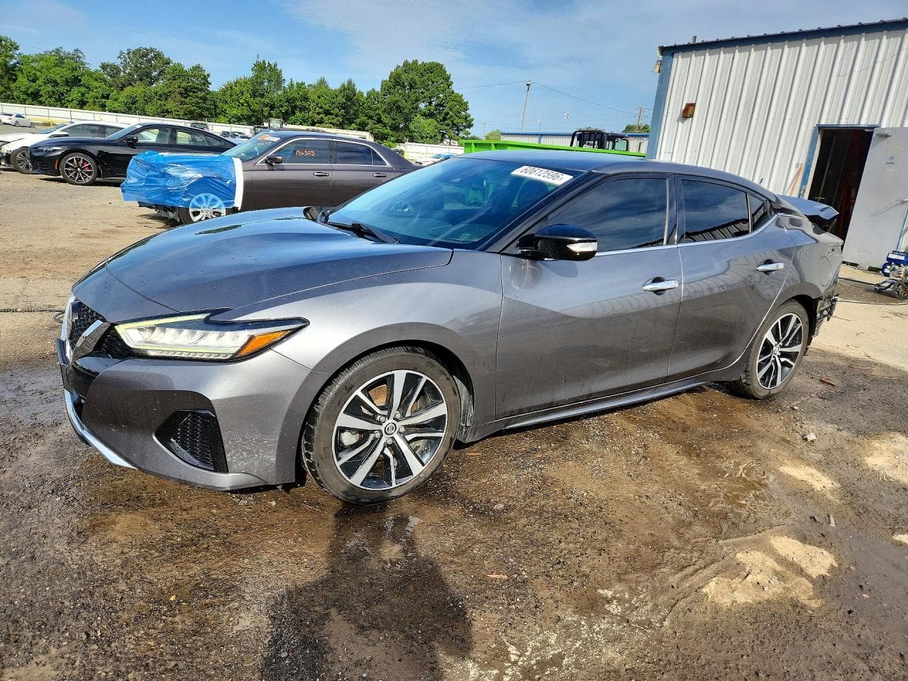 NISSAN MAXIMA