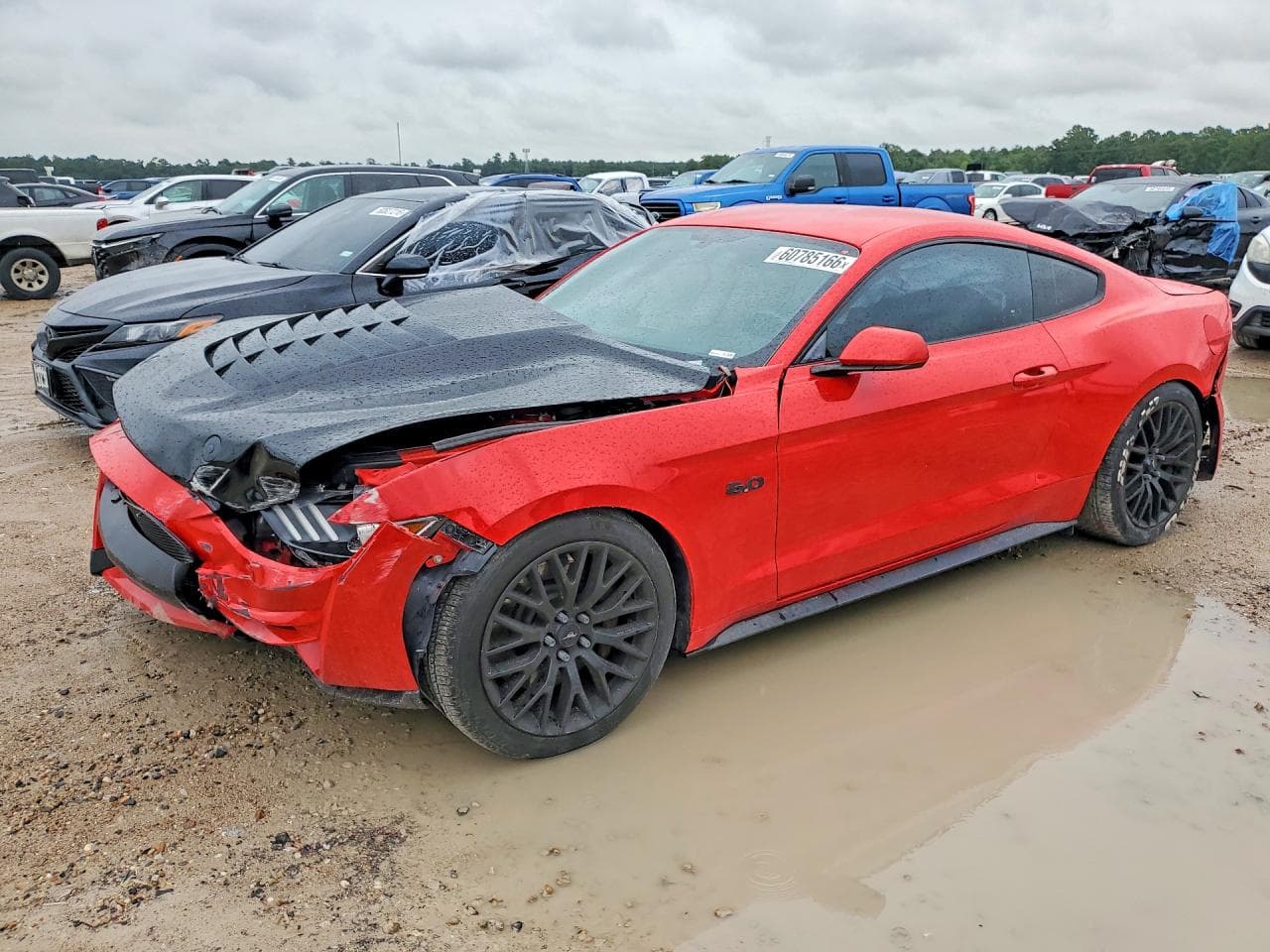 FORD MUSTANG