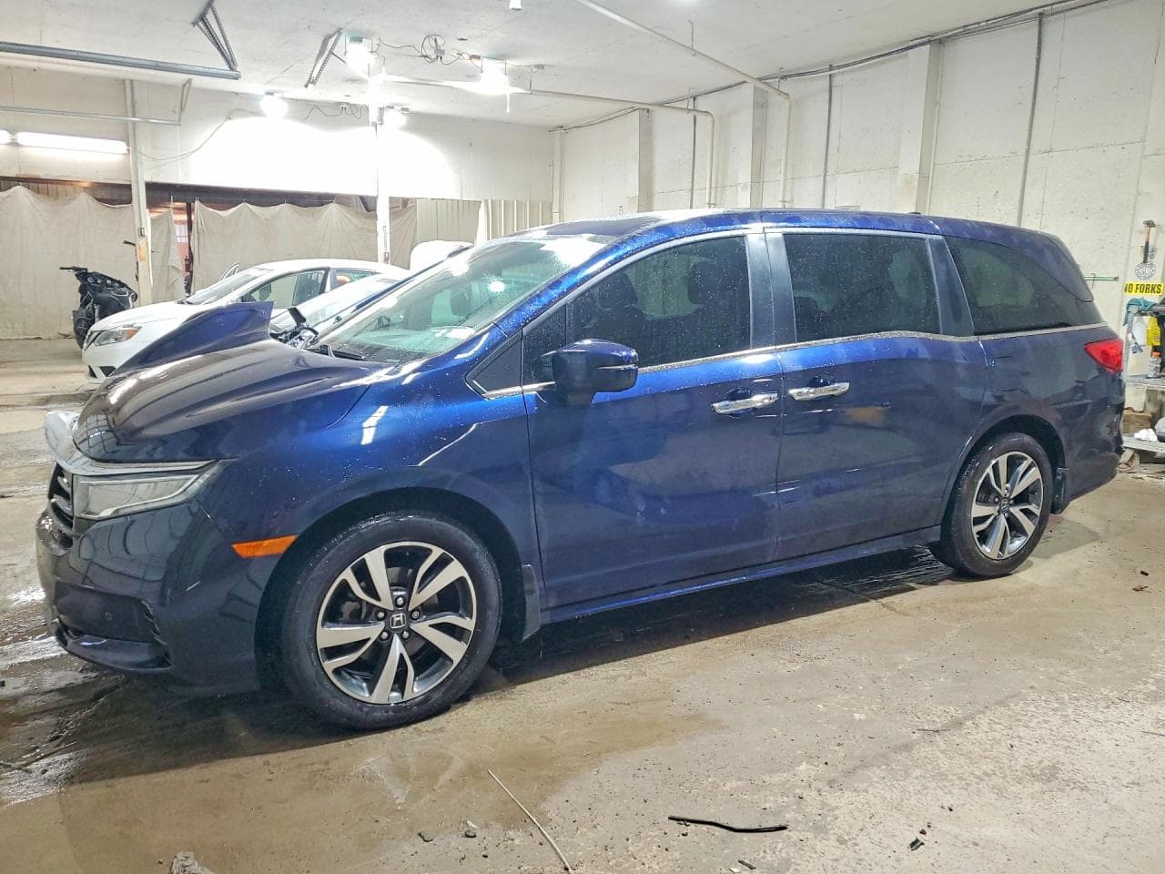 HONDA ODYSSEY
