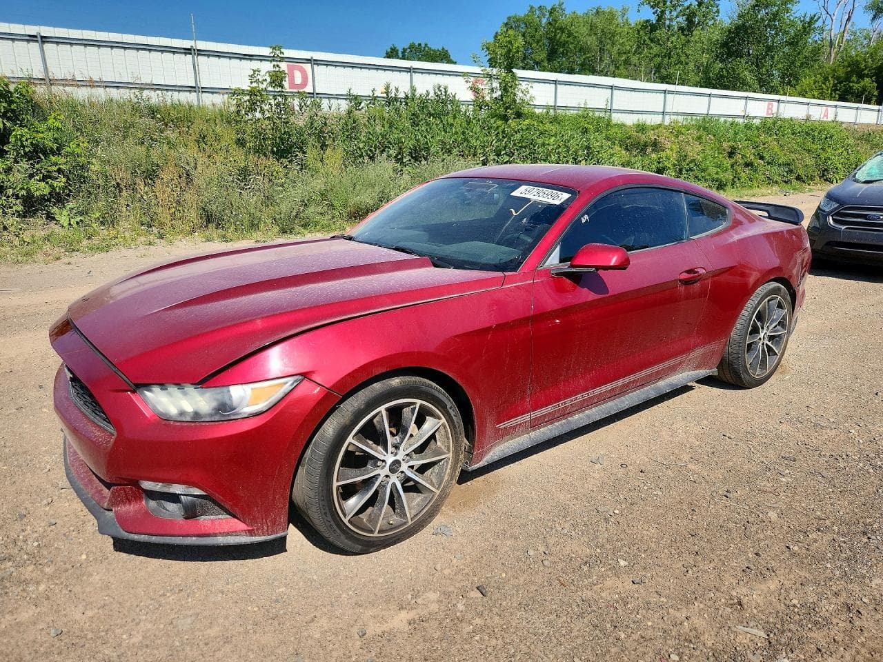 FORD MUSTANG