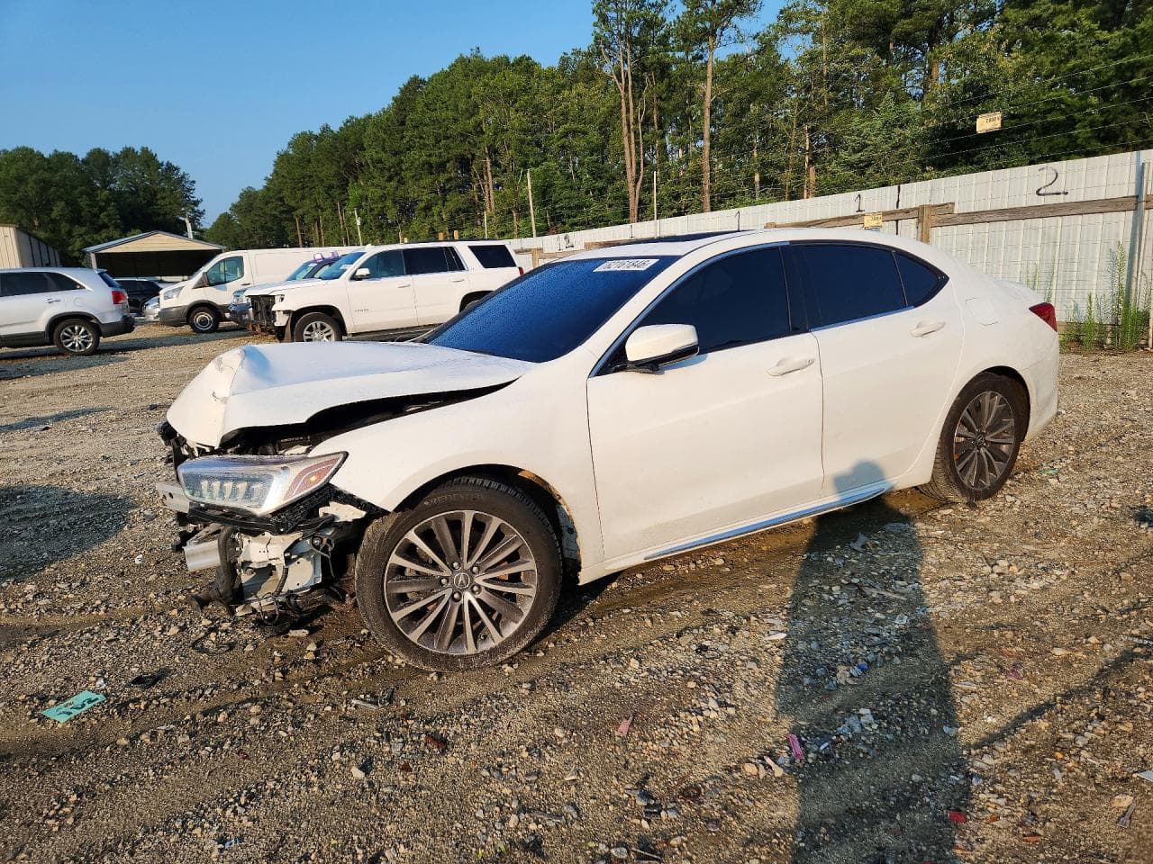ACURA TLX