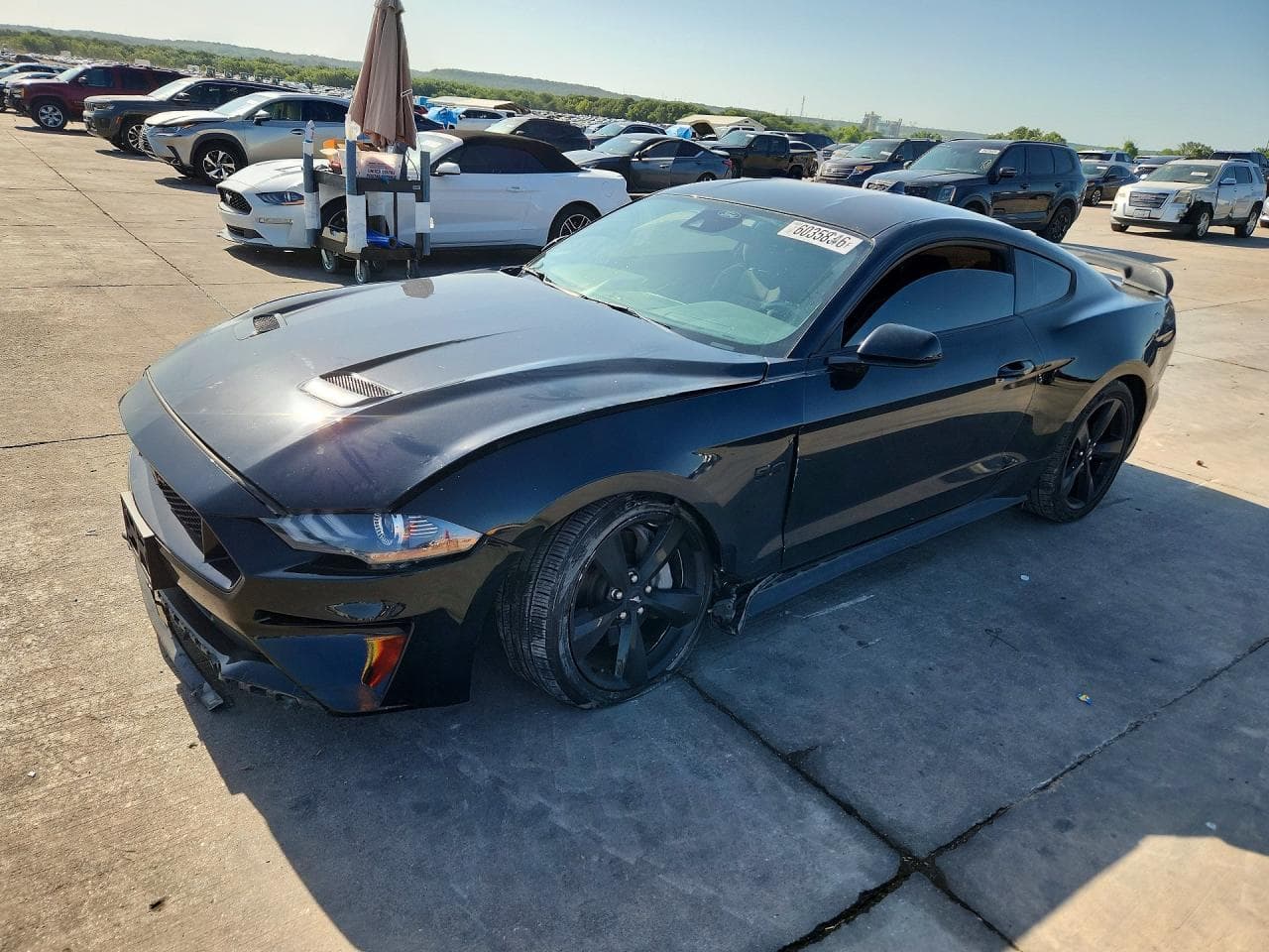 2022 FORD MUSTANG