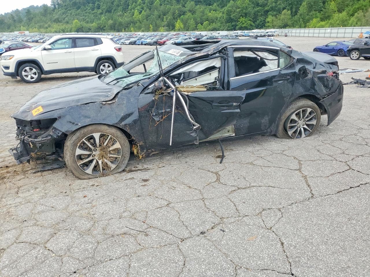 ACURA TLX