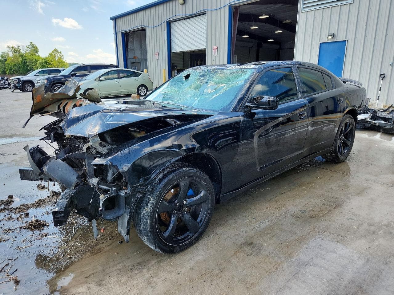 DODGE CHARGER