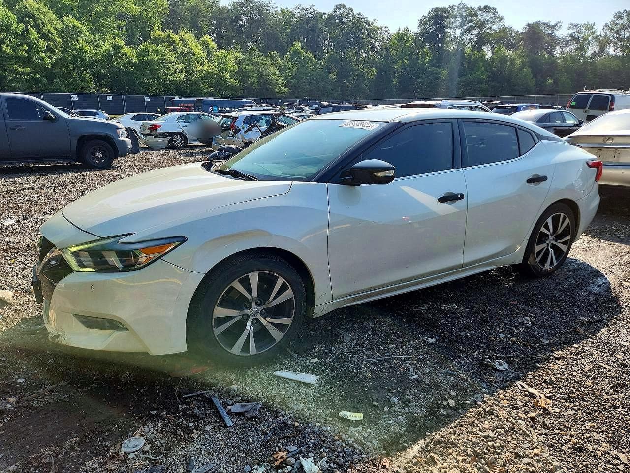 NISSAN MAXIMA