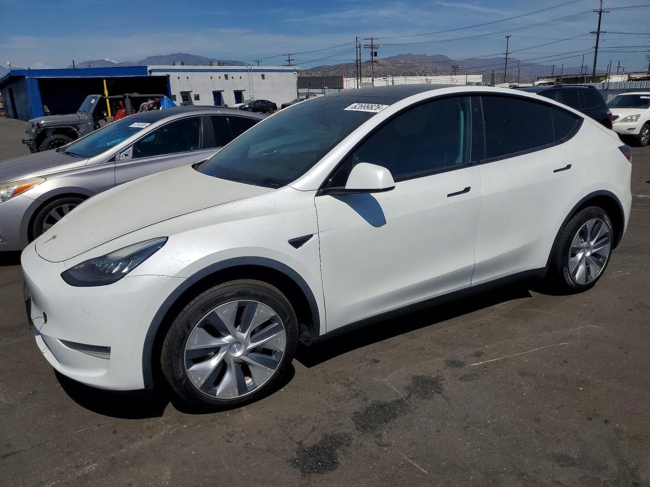 TESLA MODEL Y
