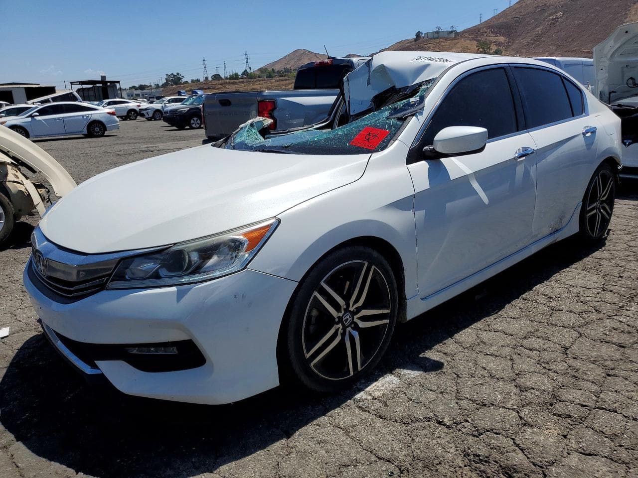 HONDA ACCORD