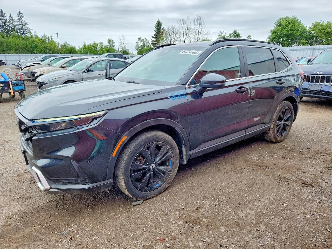 HONDA CRV