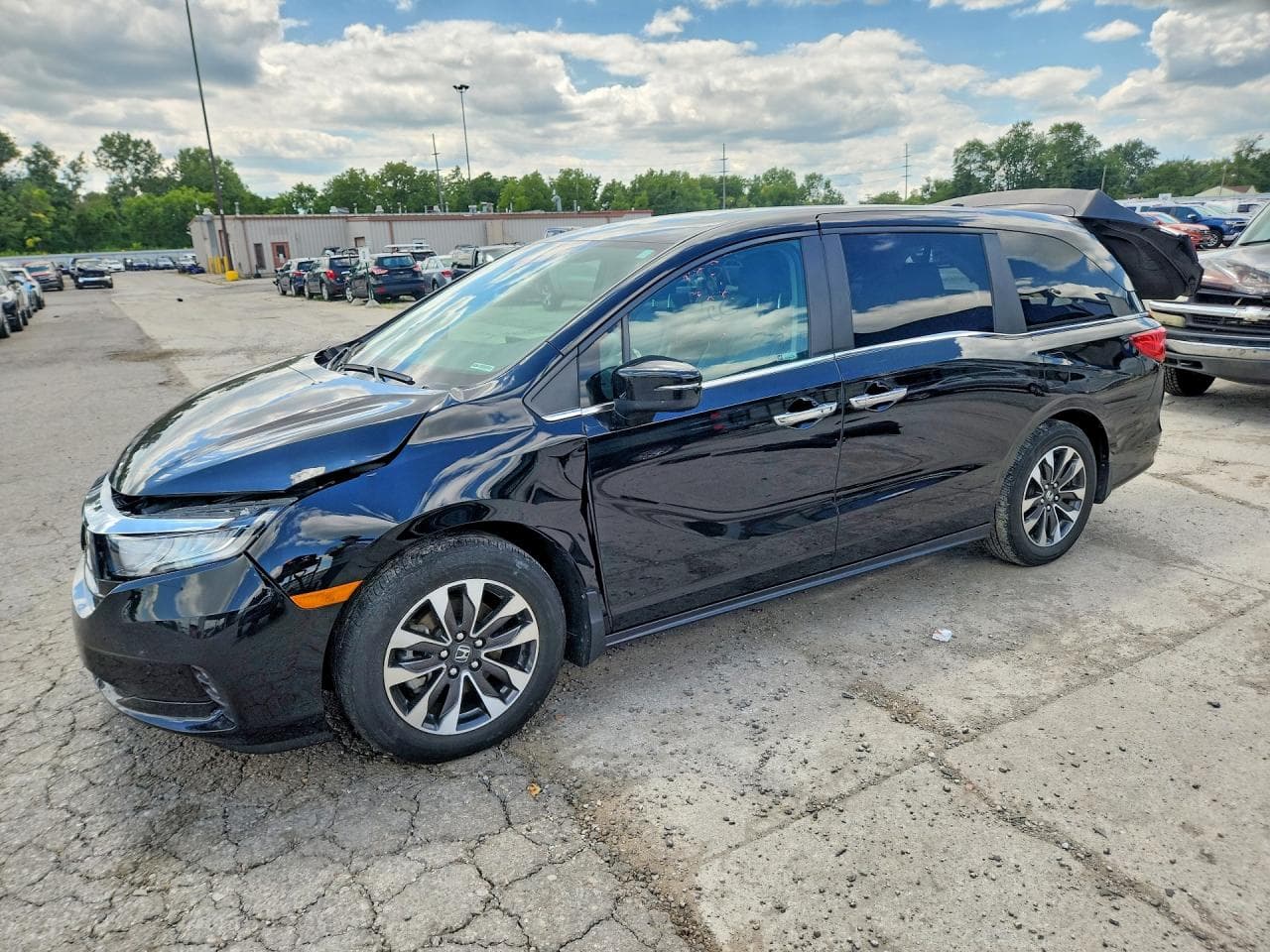 HONDA ODYSSEY