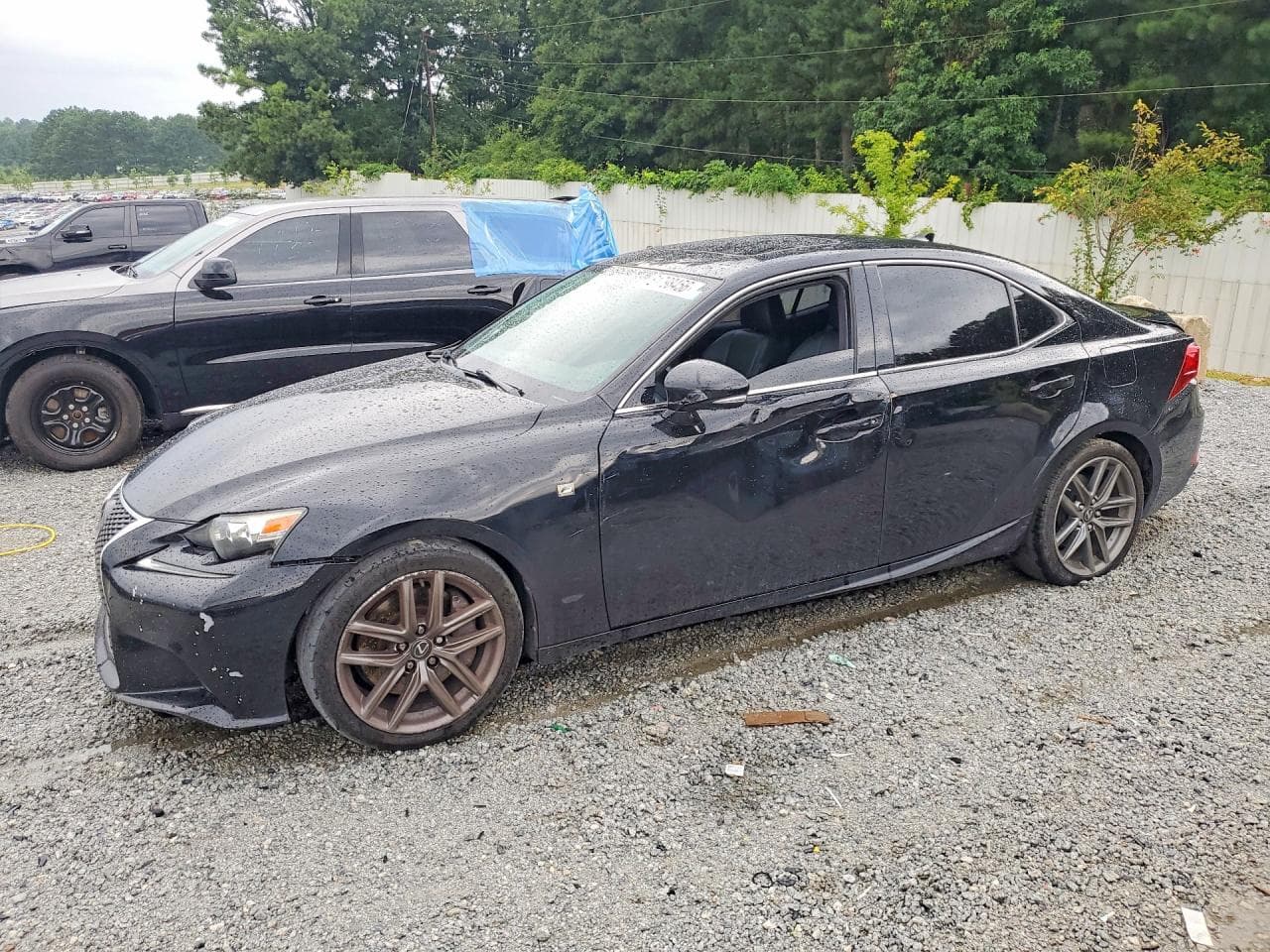 LEXUS IS