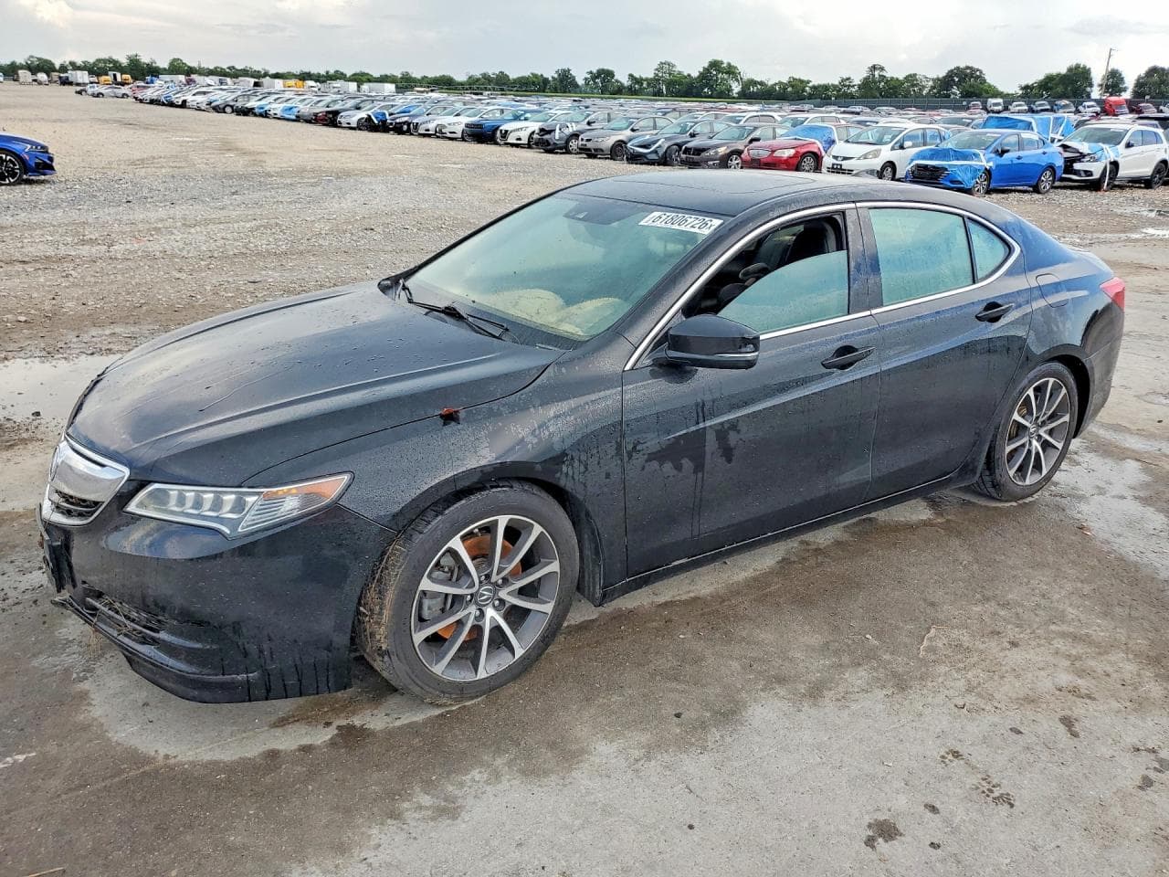 ACURA TLX