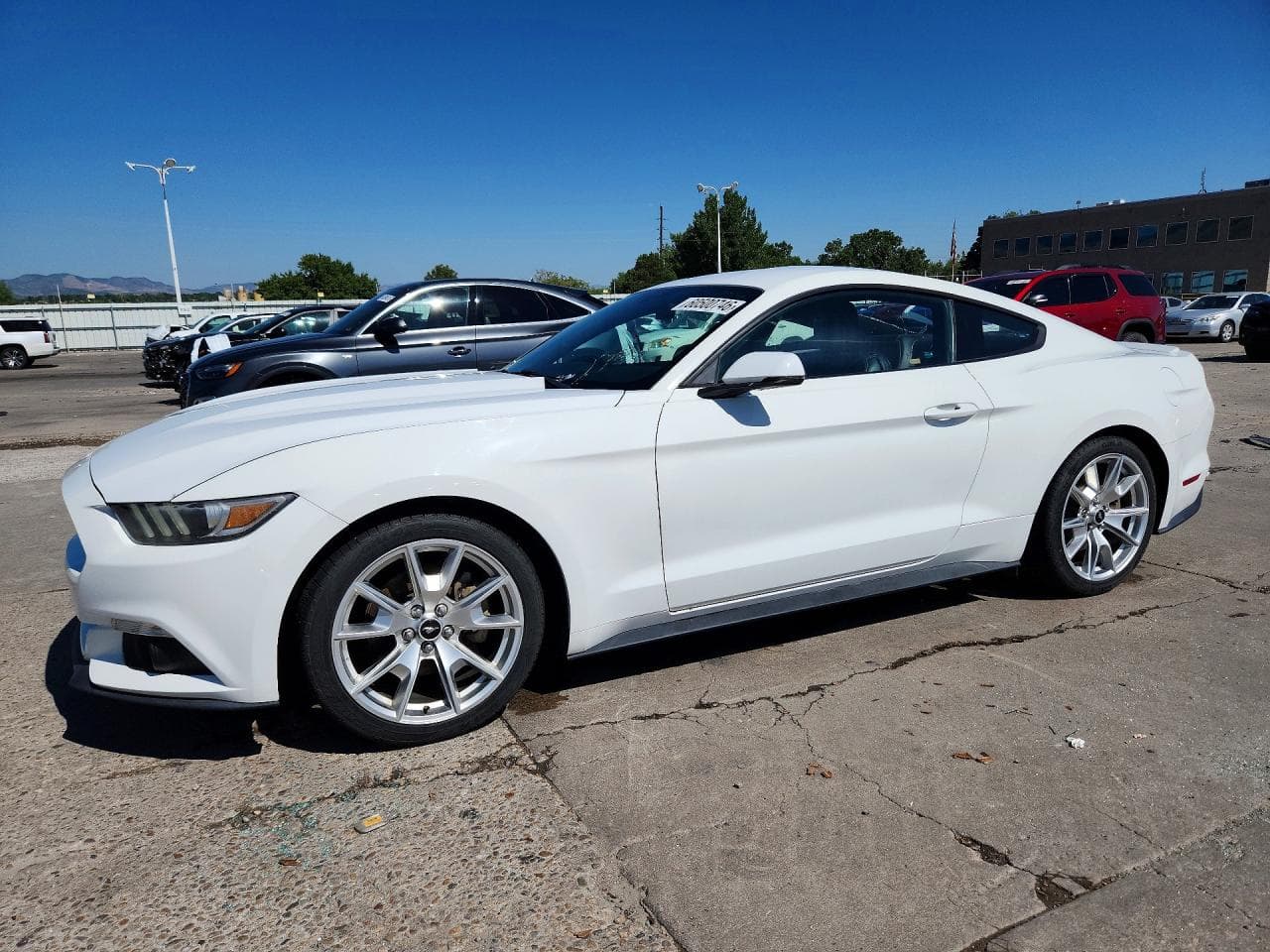 FORD MUSTANG
