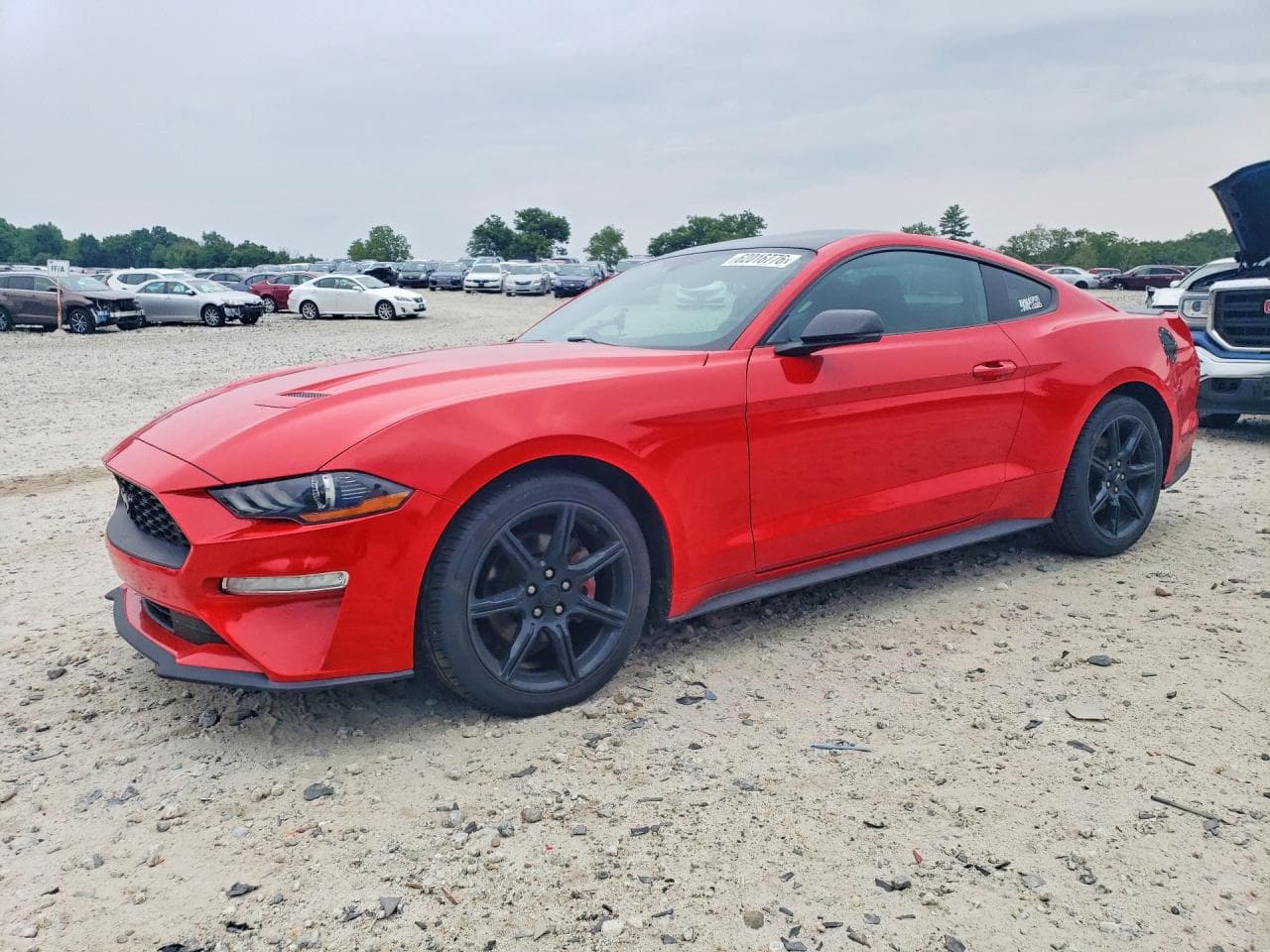 FORD MUSTANG