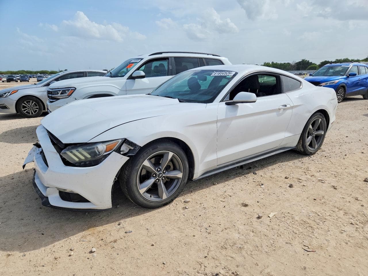 FORD MUSTANG