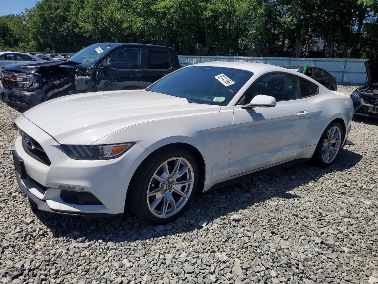 FORD MUSTANG