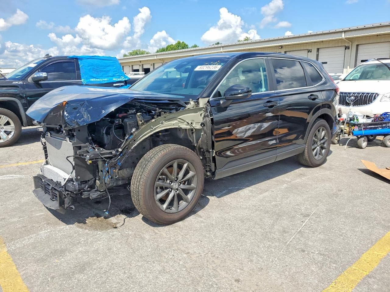 HONDA CRV