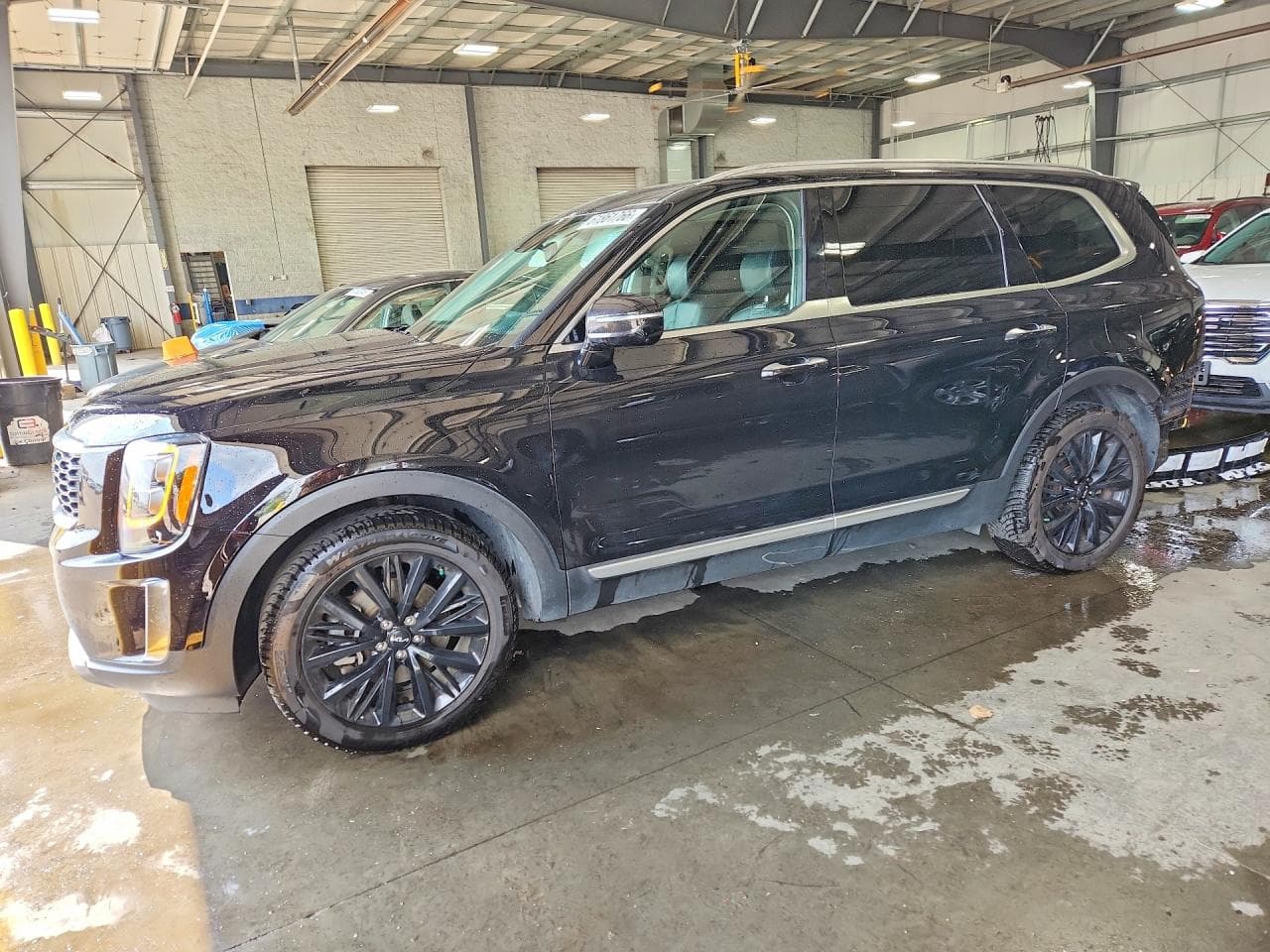 KIA TELLURIDE