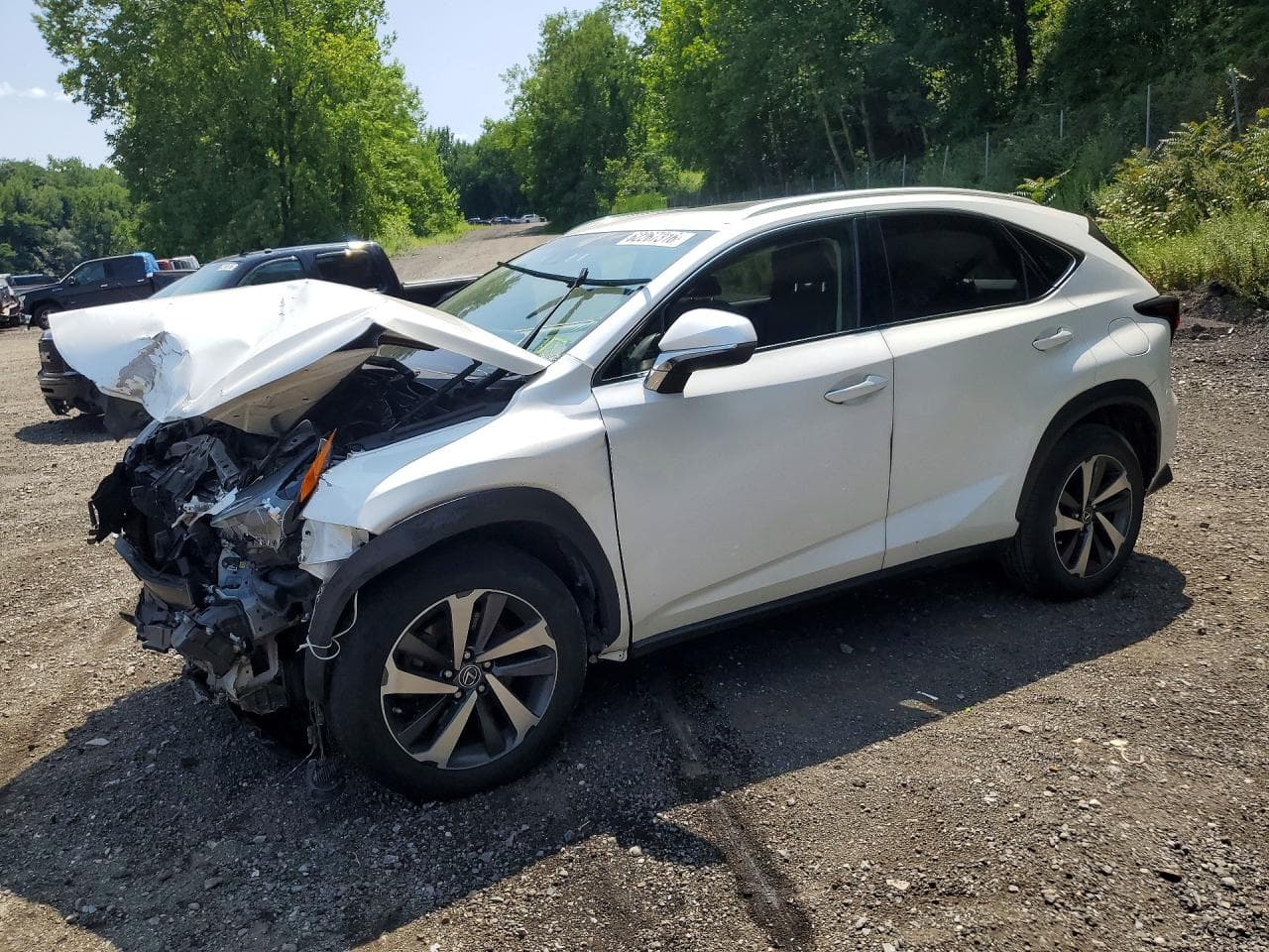 LEXUS NX 300