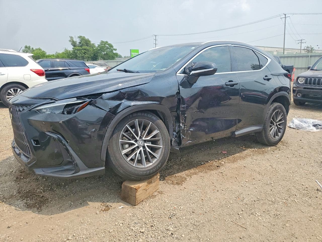 LEXUS NX