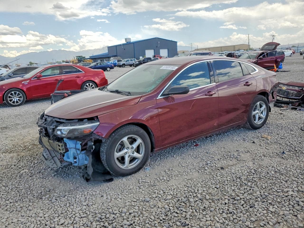CHEVROLET MALIBU