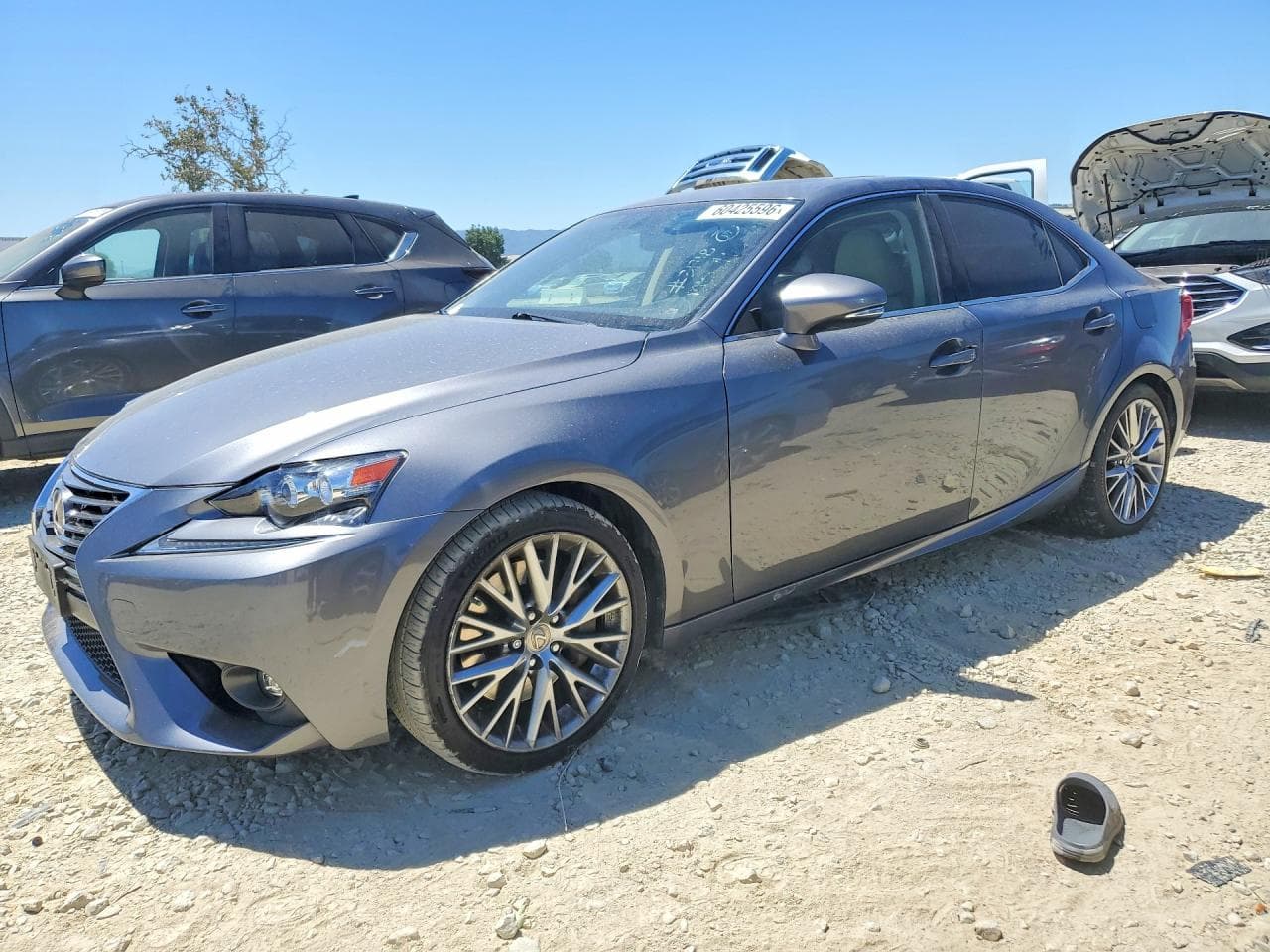 LEXUS IS