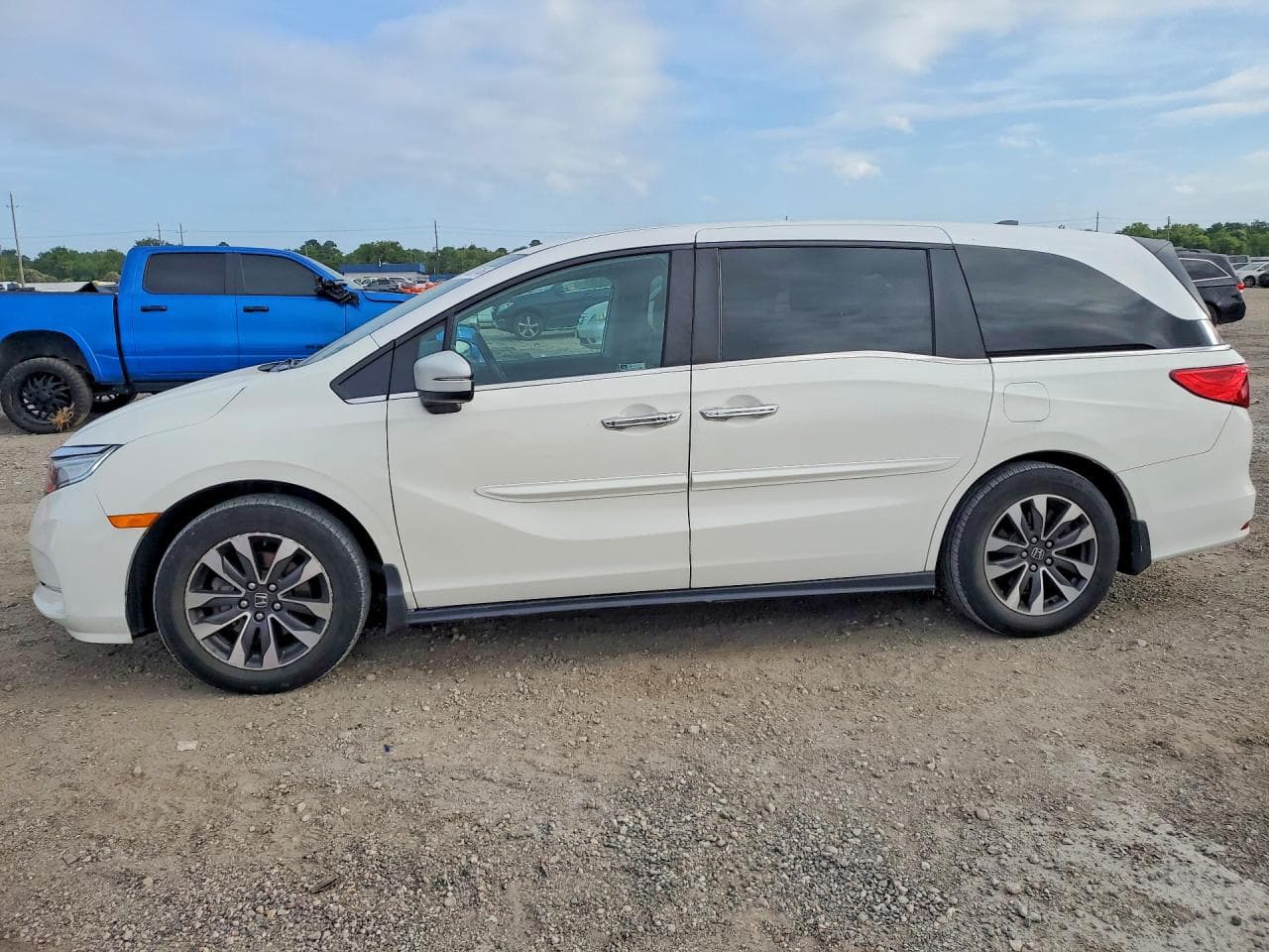 HONDA ODYSSEY
