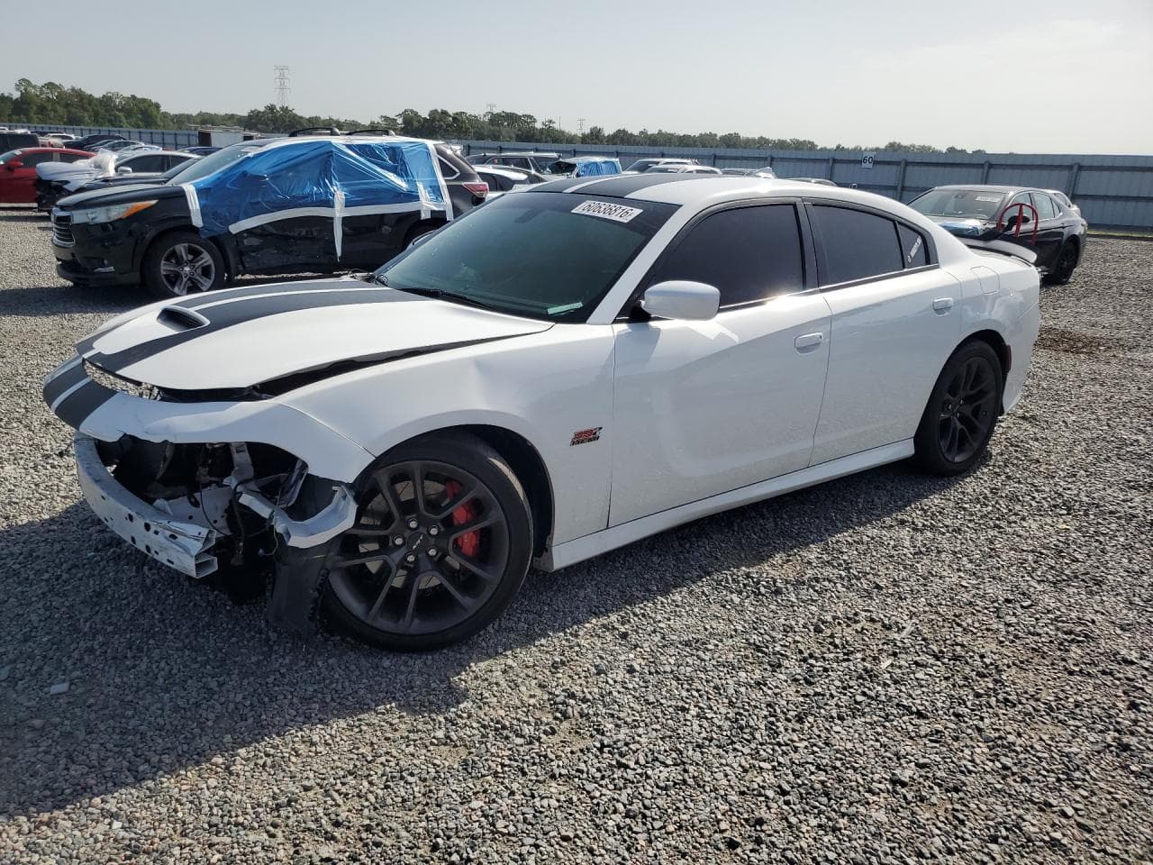 DODGE CHARGER