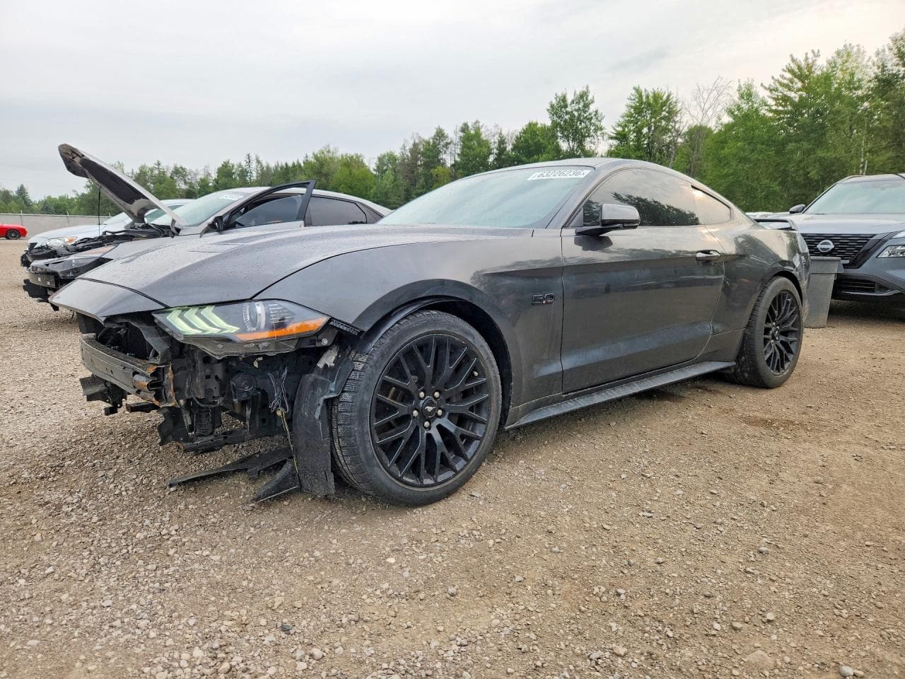 FORD MUSTANG