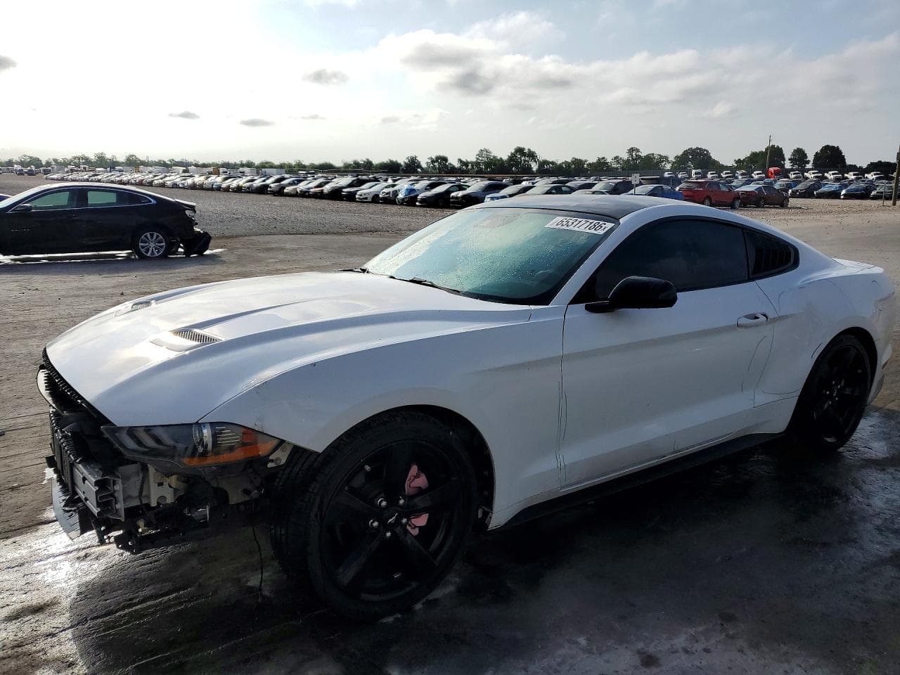 FORD MUSTANG