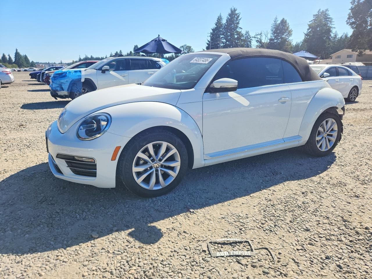 VOLKSWAGEN BEETLE